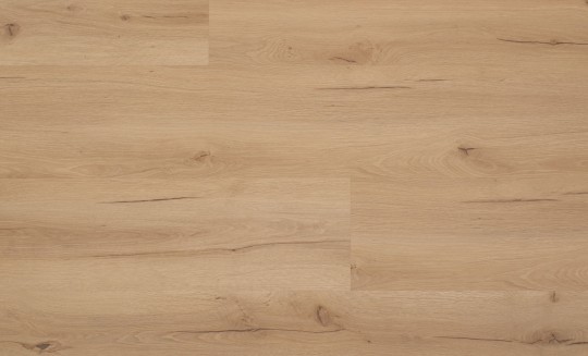 SPC_Woodline_Ametrin